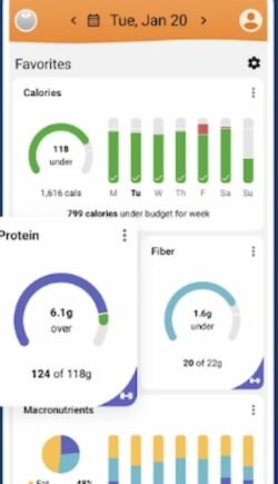 A Demo from Lose It App